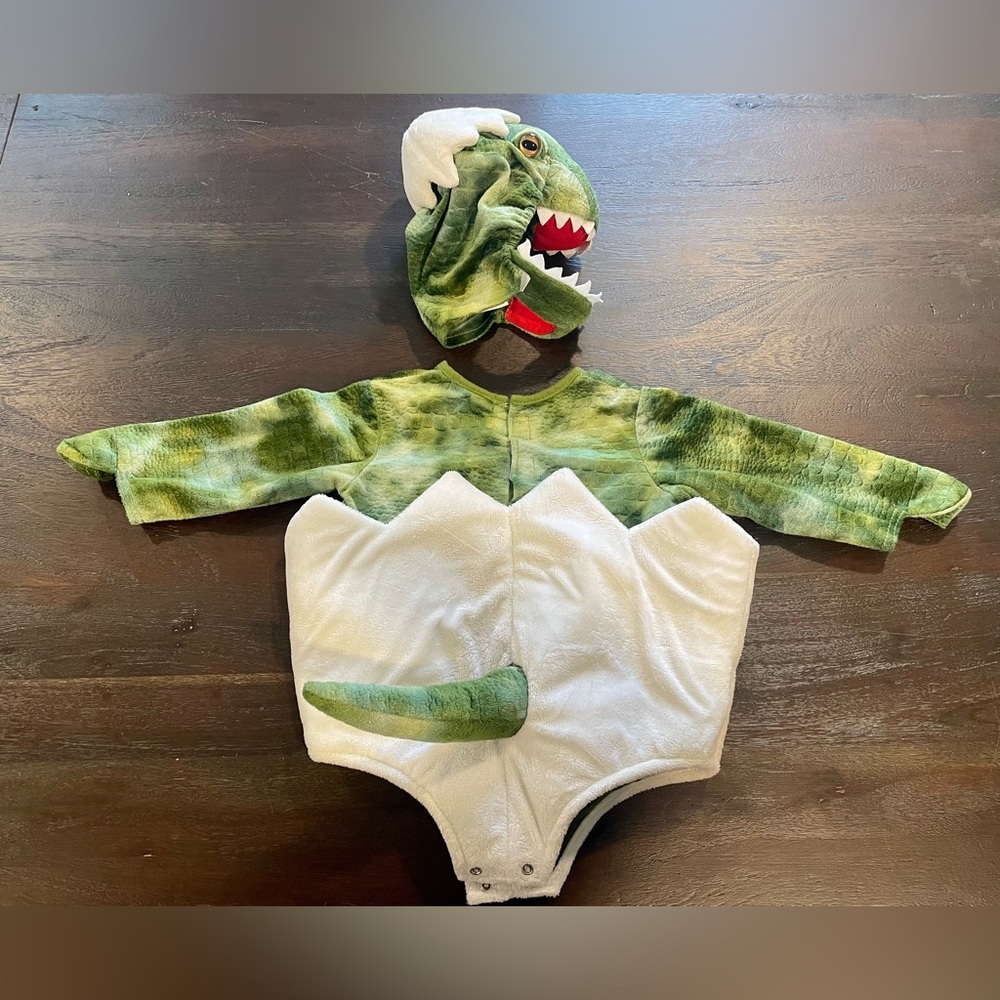 Pottery Barn Kids Green White Dino Egg Baby Costume - Picture 4 of 16